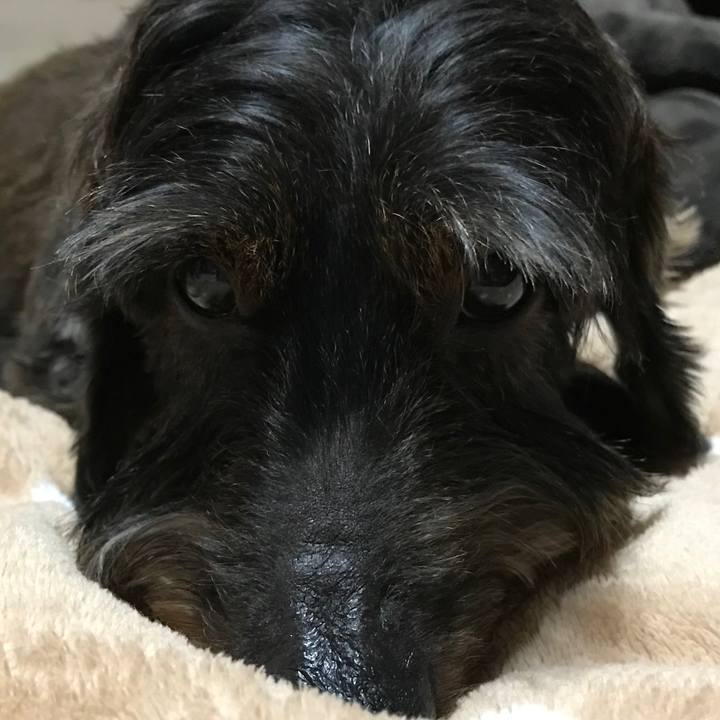 830bae24 3d2b 4b61 bf53 02883b61926c 1547186577632