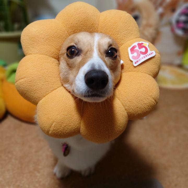 830bd0c5 ec9e 4711 976b de90c2877520 1767008294946