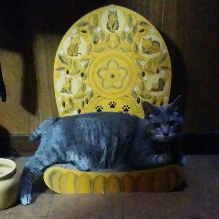 830bddf2 db73 483b ac16 a6268d5f4180 1592404067115