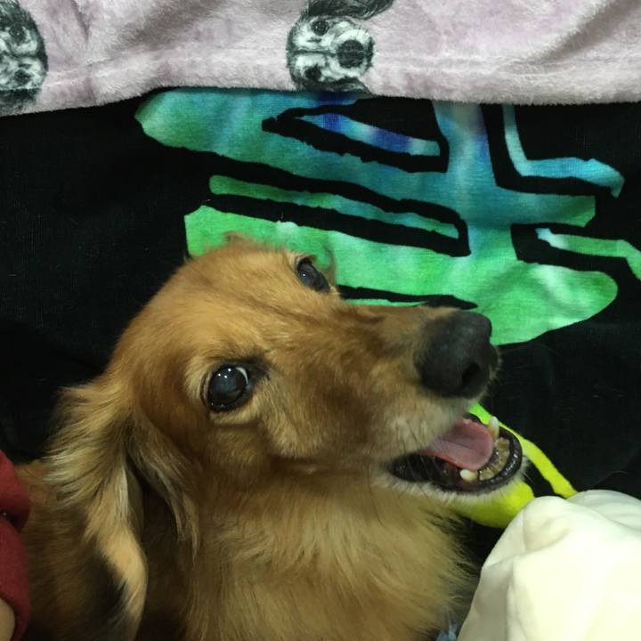 830bed42 3a7d 44fb 92c9 4a5ed1c37cc7 1592574020176