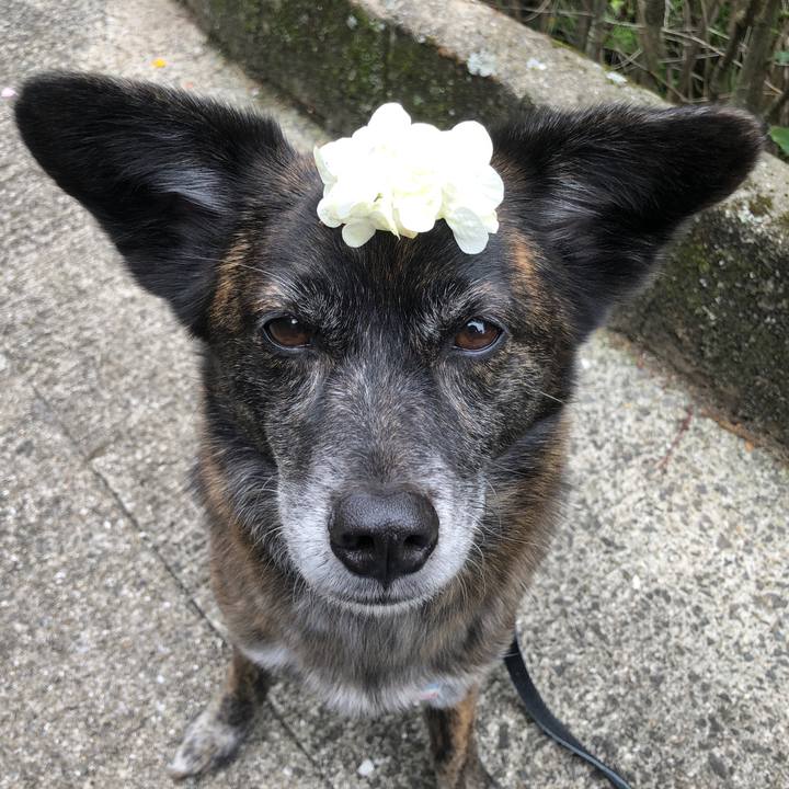 830bee34 a13d 4fb7 b92d c4ca29283588 1587434554197