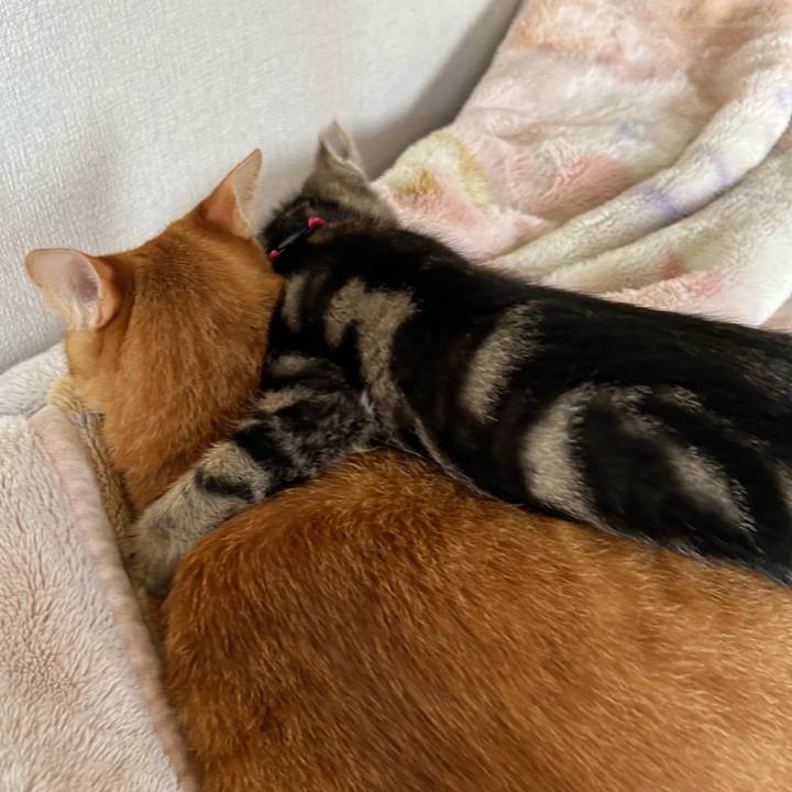 830c142d 5e2e 4f66 a34d 00ebe66c281e 1726381389787