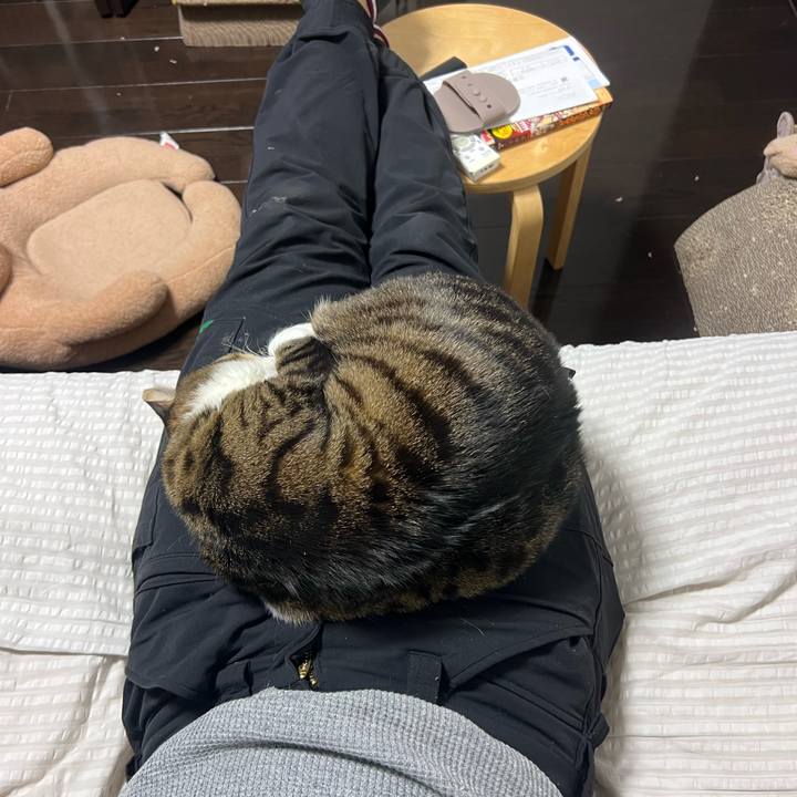 830c14a7 75eb 4862 b267 bf78e37ee4fe 1770366003197