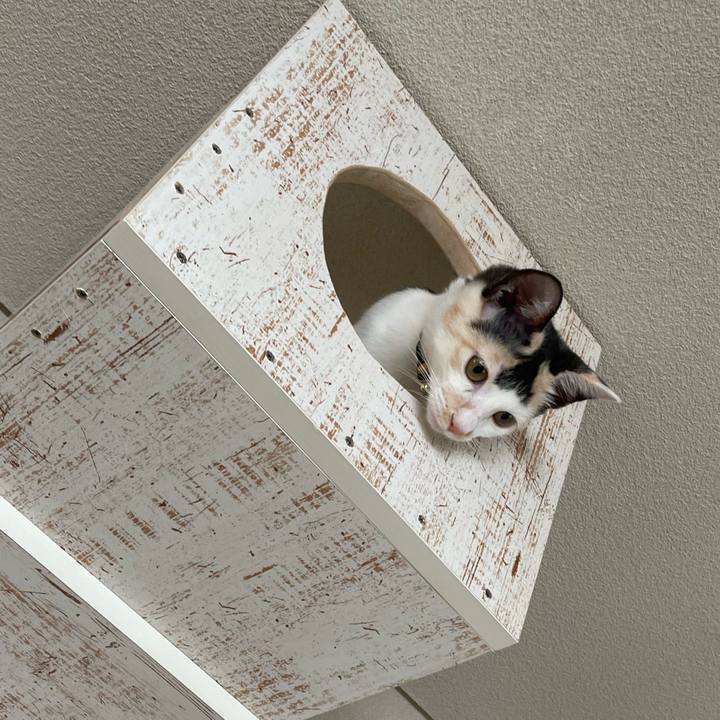 830c25d5 b829 4c00 8de6 8098a67e493a 1662768048638