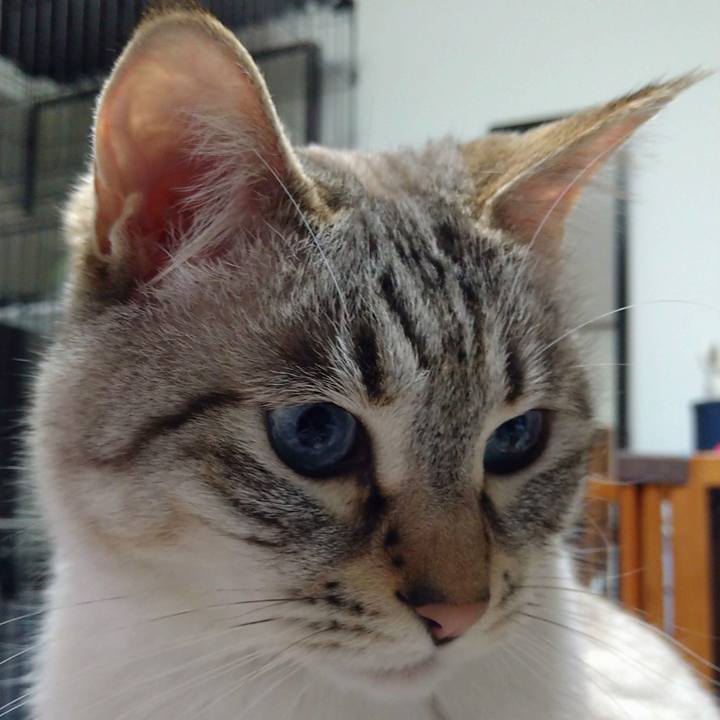 830c3885 2283 4aaa 94a0 66cce0bd6e89 1620385560678