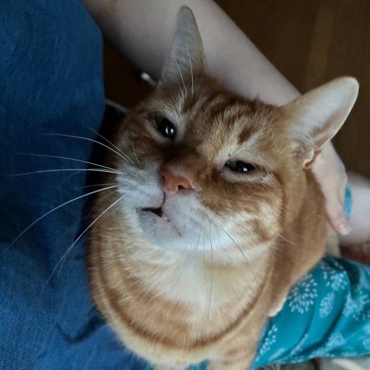 830c40b7 38a7 4206 a6bb 1c6d8085c0a3 1749809761486