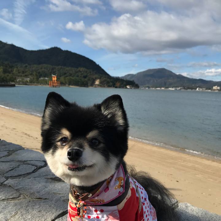 830c4eae 2d6a 4327 a9c8 205fef28a43f 1542539311769