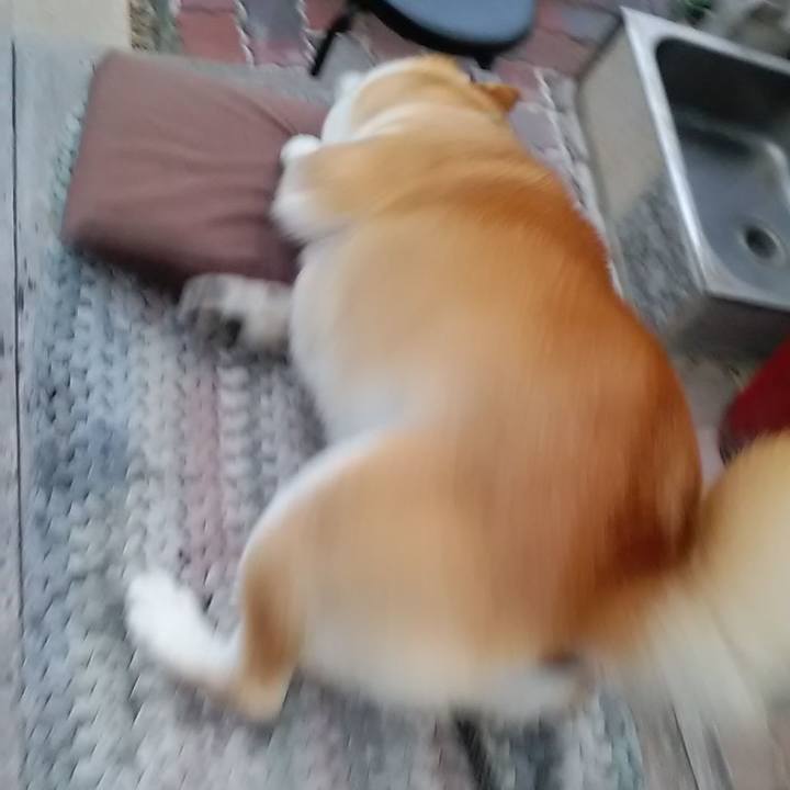 830c57ea c809 4234 a817 8f2603d7f3b0 1592440075160