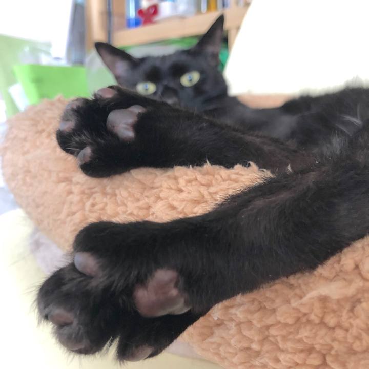 830c5e2d 75ee 4a35 89d9 31fc9f7178e0 1564362822807