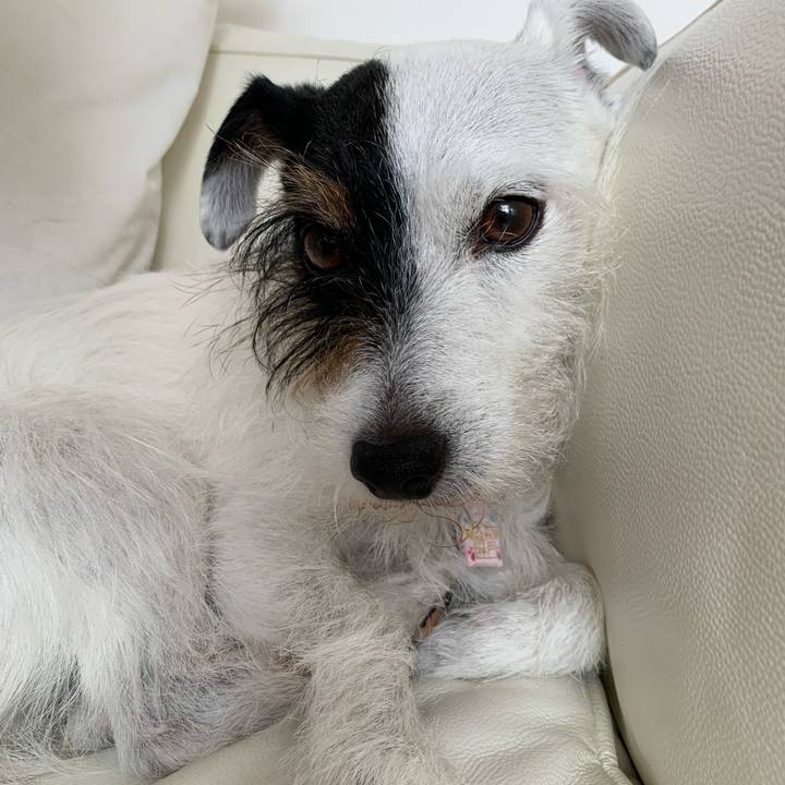 830c5eee cd75 4fbf 885a 249794c970c2 1655358611297