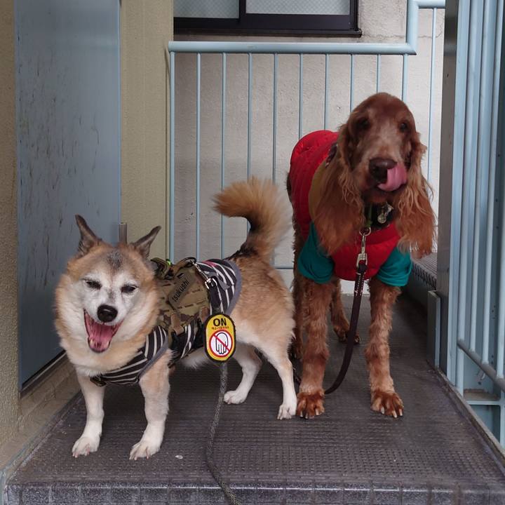 830c60b7 e25e 482f 9f74 4f2918aedbc4 1703752688349