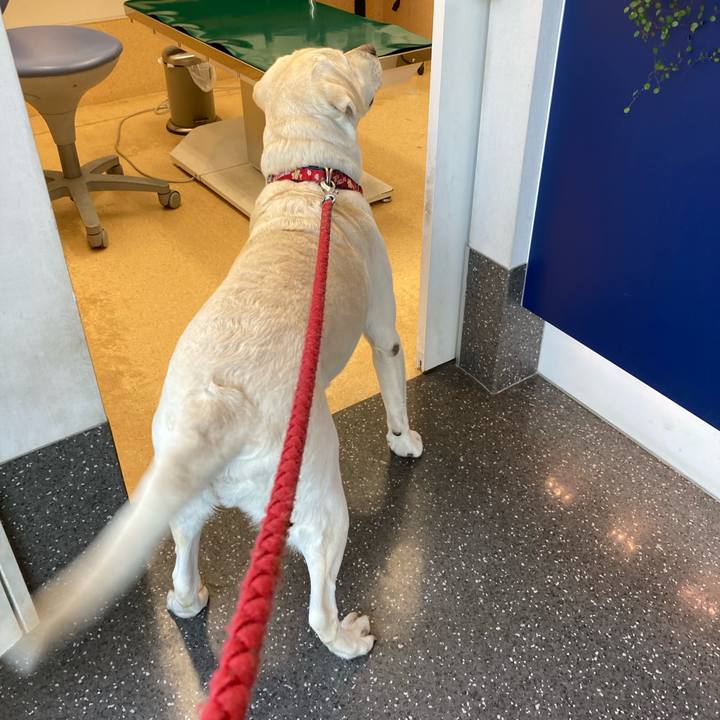 830c7529 56cd 43e1 a7af 0836fd43f273 1734530427562