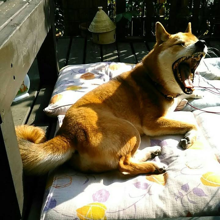 830c7ff7 48e6 4131 ac03 e6c1385c8e93 1551419275026