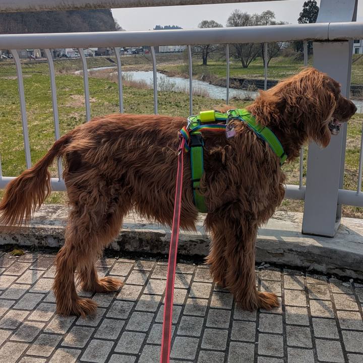 830ca769 3745 4175 98cb 7754dd023c9a 1775202852975