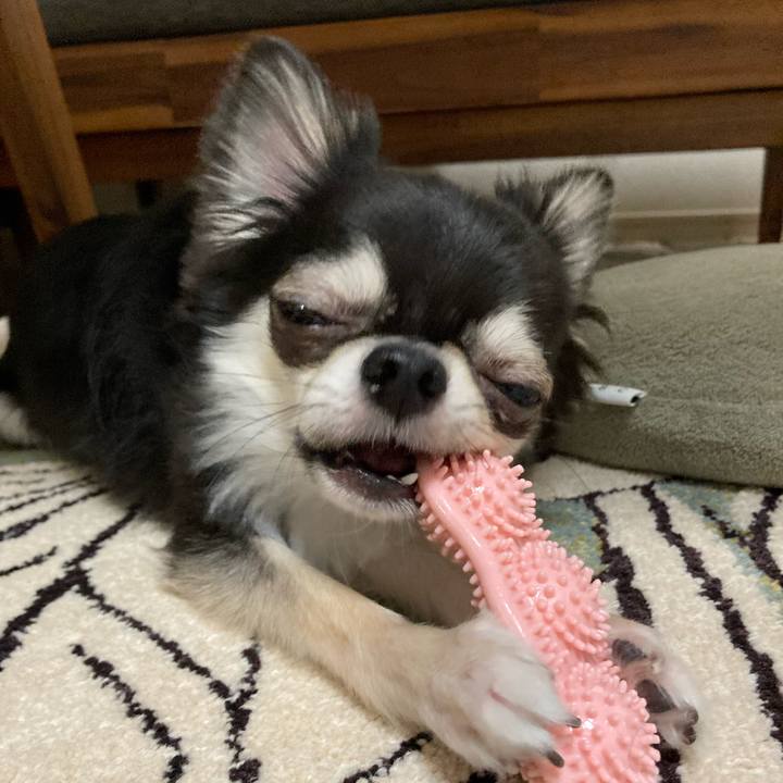 830cac42 77e5 4a3c 9e57 35e0372a174d 1628775389380