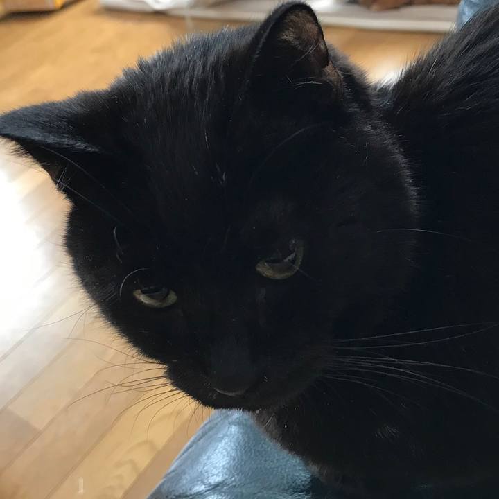 830ccca5 e5d0 4888 a53f 1dbc9bbb8015 1561249588598