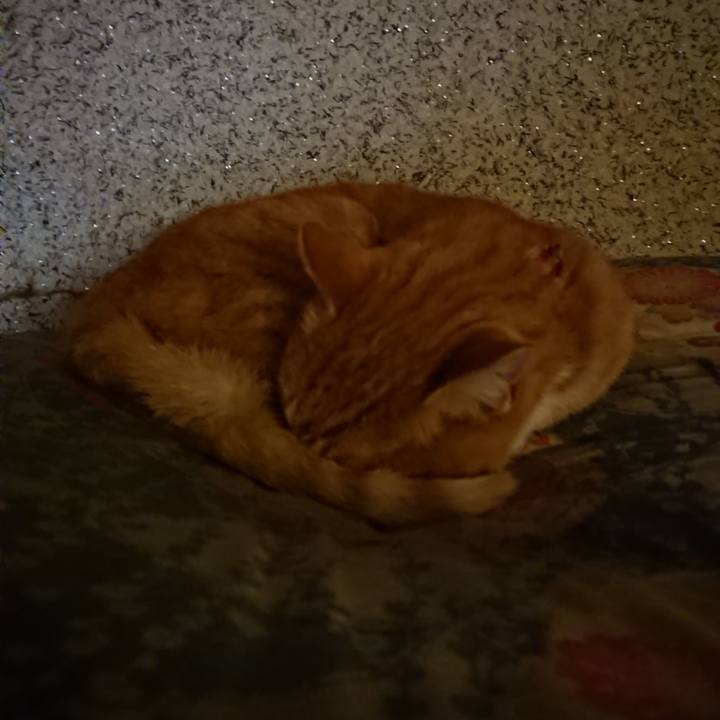 830cd234 cf67 43a4 a32f b4fa24681088 1602976090784