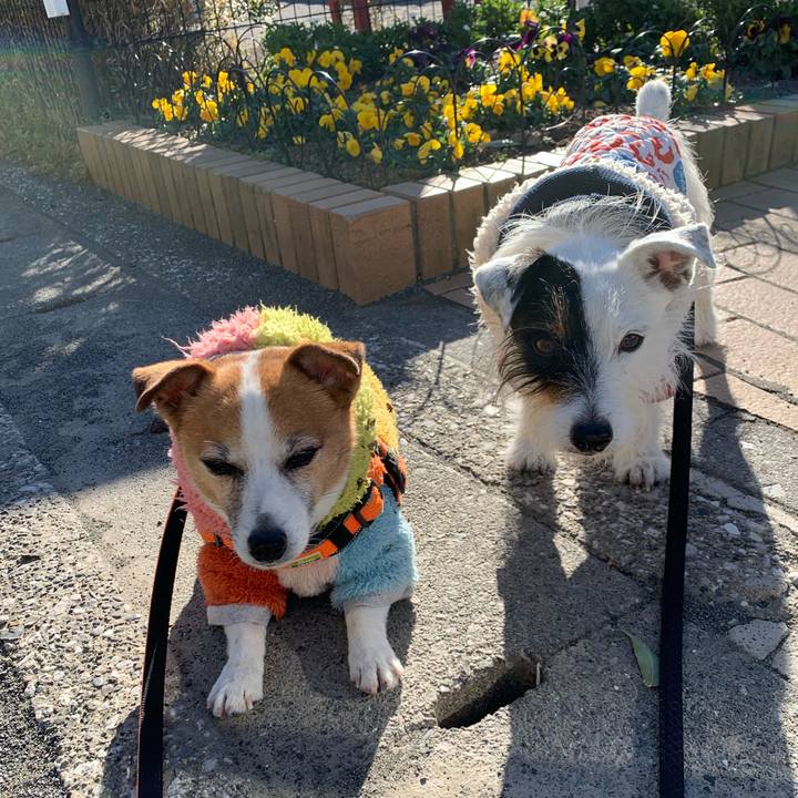 830cec8e 953d 4cda bf8e 3c56f6f2587a 1642123825323