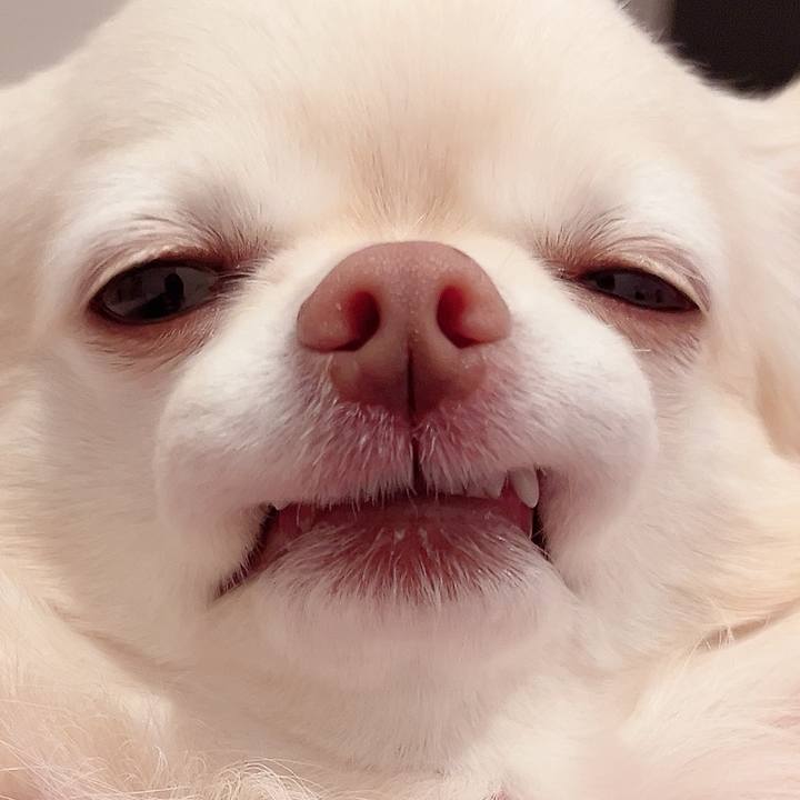 830cf144 75c1 46e6 87d3 12847b5ab664 1734360843393