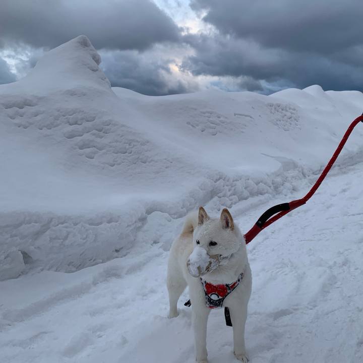 830cfa8e 27f1 4da3 ae52 24101f2f4145 1677277950625