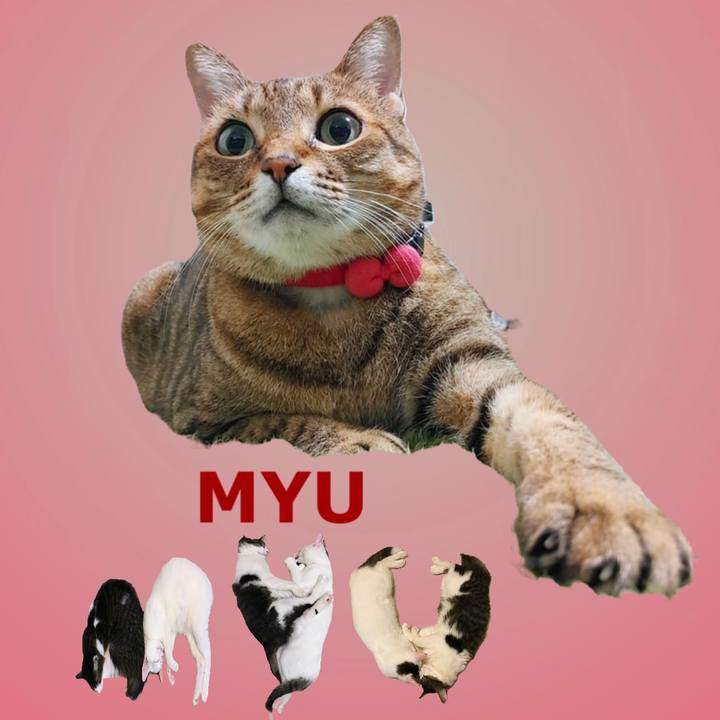 830d5241 b2ff 4fce a8ff 740ee232d0ed 1669763658661