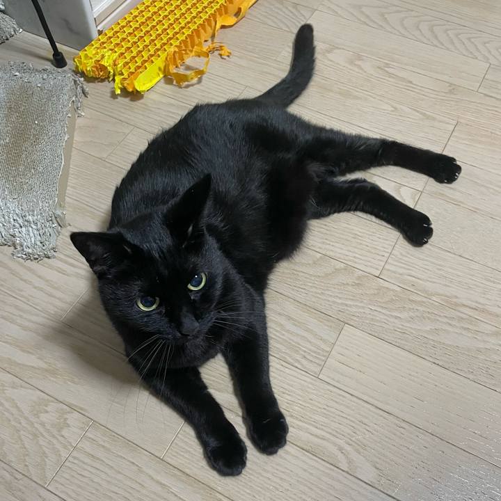 830d5f1d 8a1d 43fd a89e c24324da20ff 1736861025569