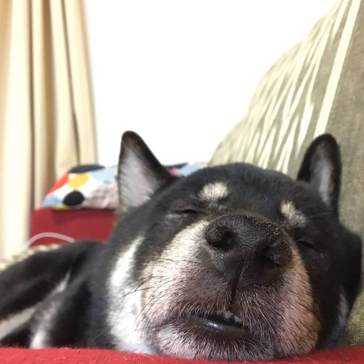 830d679f 19d9 4c2f af8a 23fd56e0fbaa 1559140332771