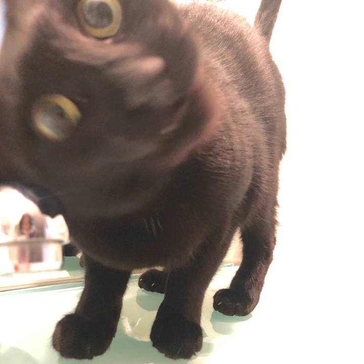 830d8d44 5720 4871 8aa4 3494b77f9e22 1551523629711