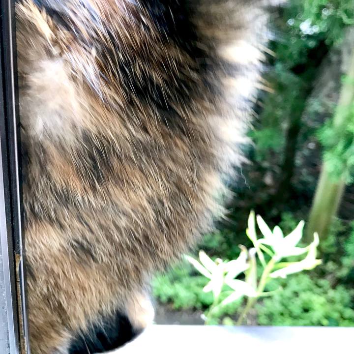 830de002 459c 4015 ac1a a4d63f4d87b3 1536409999747