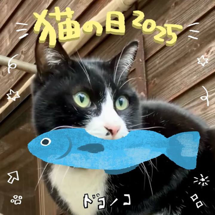 830de643 647a 4bf6 a857 218ab7a3c8a8 1740104207602