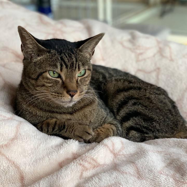 830deff7 d621 419b 970e 167c047115fb 1580174544863