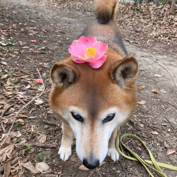 830e175e 9d0c 4449 bb9e 95819012d4cd 1675742157578