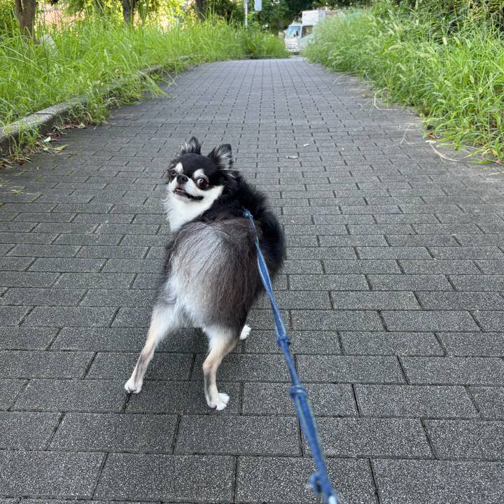 830e23e9 a669 4347 b8ea fd94285994e0 1757265814895