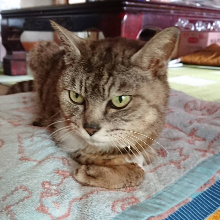 830e2a50 3aea 4657 b1b0 0b3a0e00556d 1595470664703