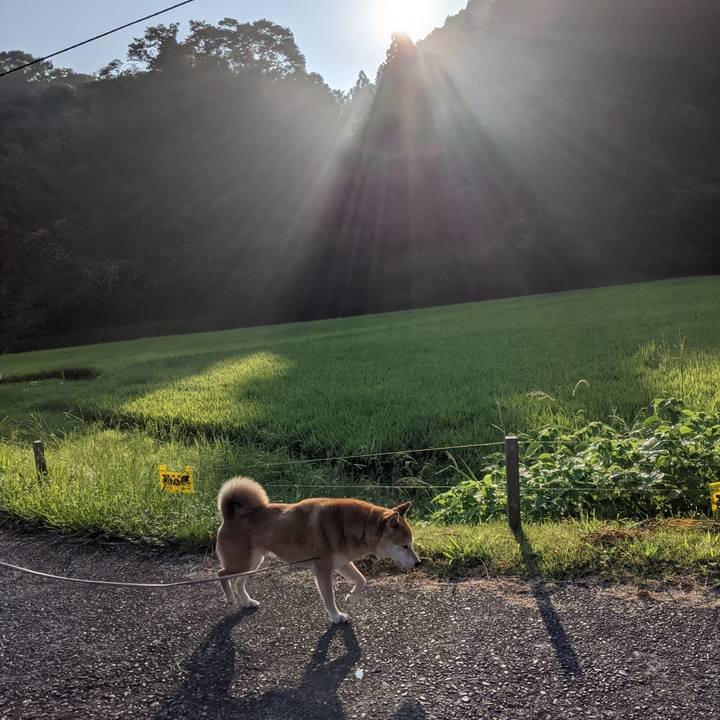 830e4e67 0c8c 4d04 bf61 063b2d4fcc2e 1630296039926