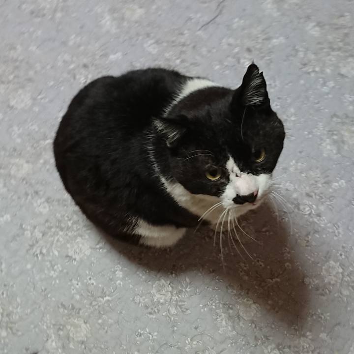 830e8742 827f 49d2 9844 f7292bd580db 1613951740336