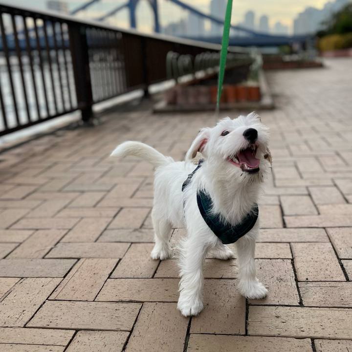 830ea448 bee9 4739 bcf0 19be3240cbf6 1702725436313