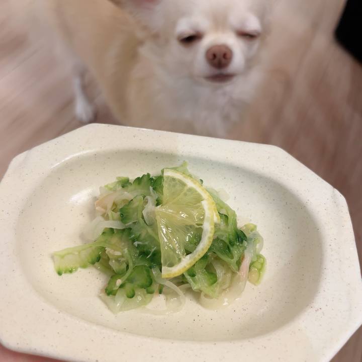 830f6ff6 5d14 42a1 b28e eb02003a5ef8 1728026279502