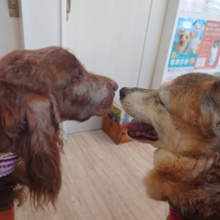 830f8b8e cf14 4247 855b 7aa39f971e88 1695637987790