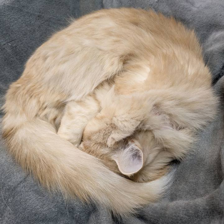 830fc384 9f2e 43d8 8176 a9bdb6a8236e 1767969726230