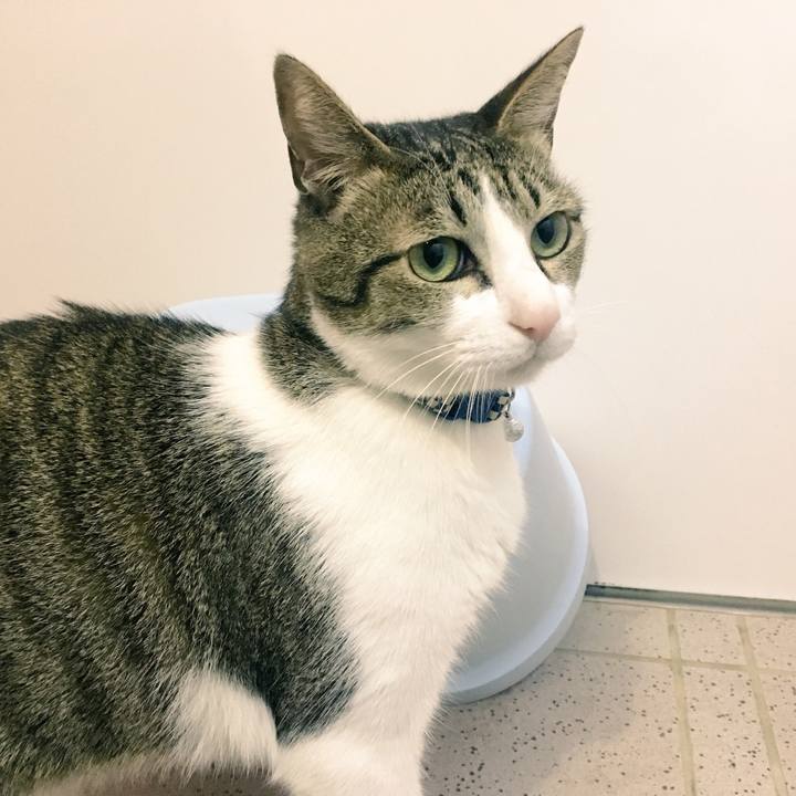 830fef28 689a 4ca8 be63 7ca252a6717b 1543364657614