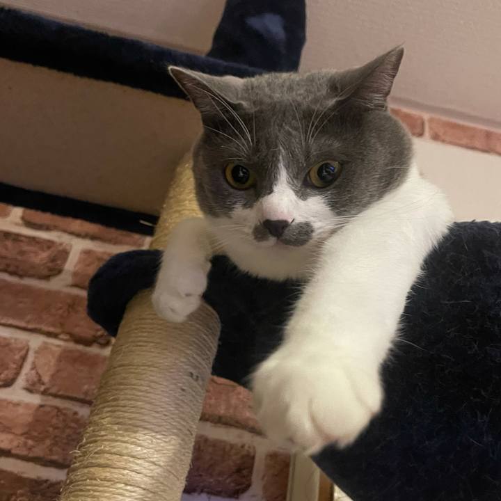 830fff76 663f 4068 8081 30e2664b231e 1628335300866