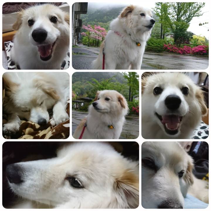 831034d0 61d1 4258 8f10 165824ac1767 1524612338568