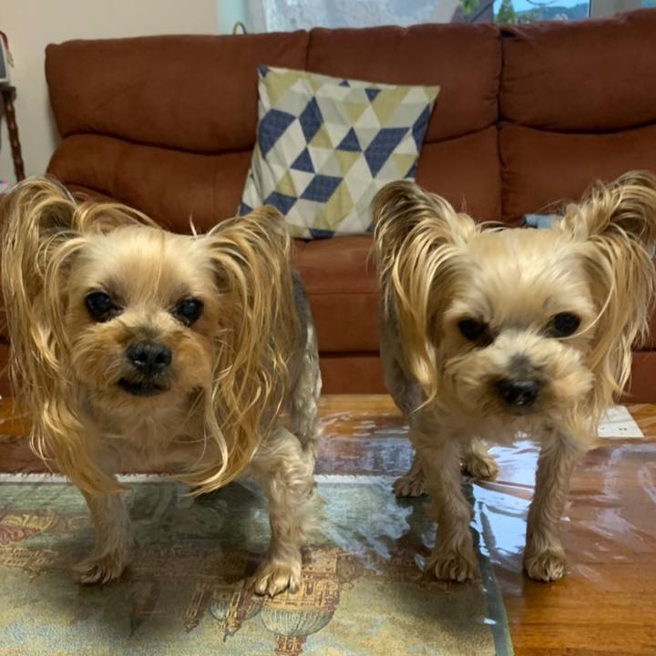 83103d52 a934 435b 8f72 15e426a9a88a 1621504888345