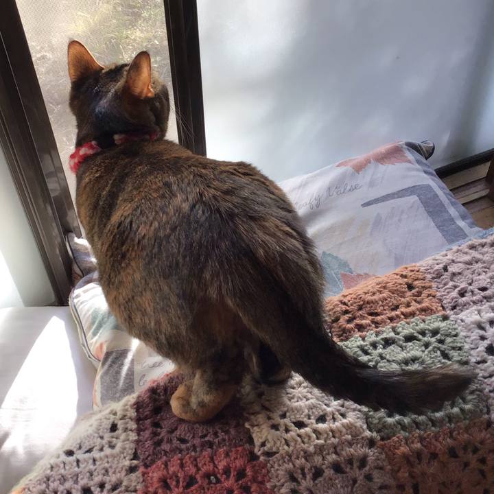 83107bbc 049f 4e17 950f e1601b30b89b 1612912085082