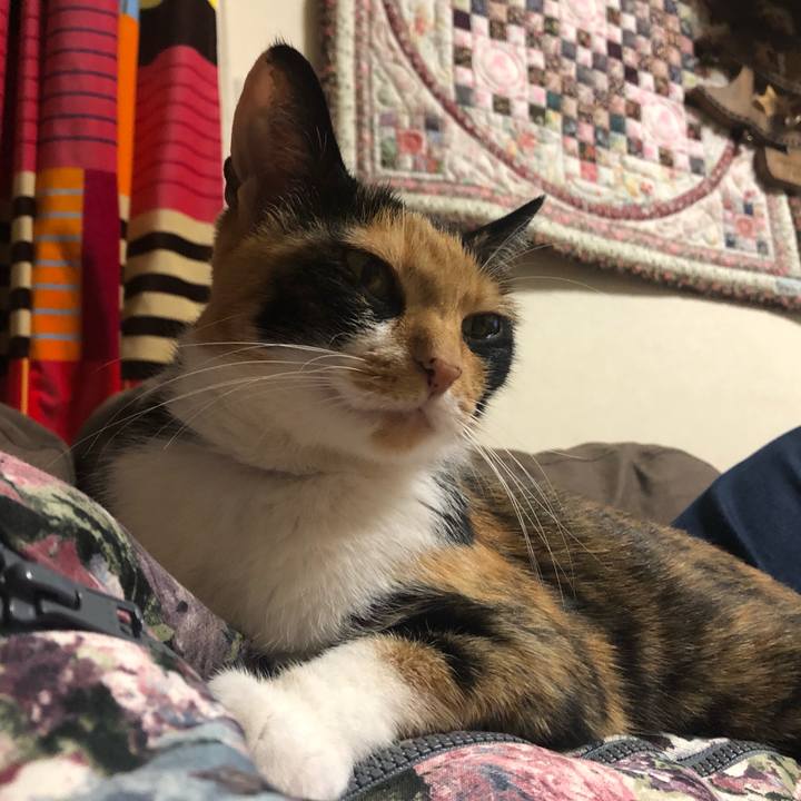 83108b77 4dd0 4842 8a18 b6c0751b310d 1569144695982