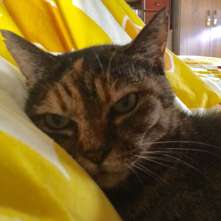 8310a34f 7664 4633 bd98 b3da48a4898e 1634165882315