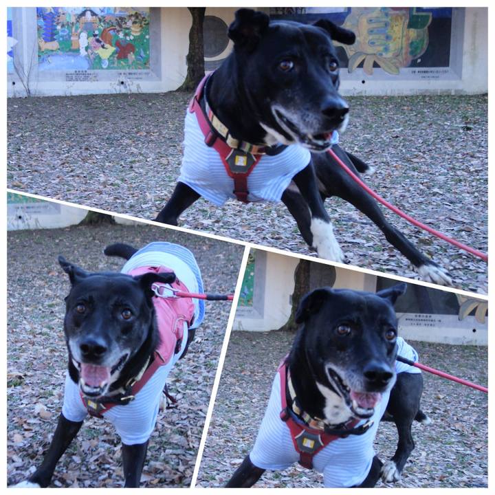 8310a800 c298 4b56 b0ff f4c0dbf90a84 1703205748922