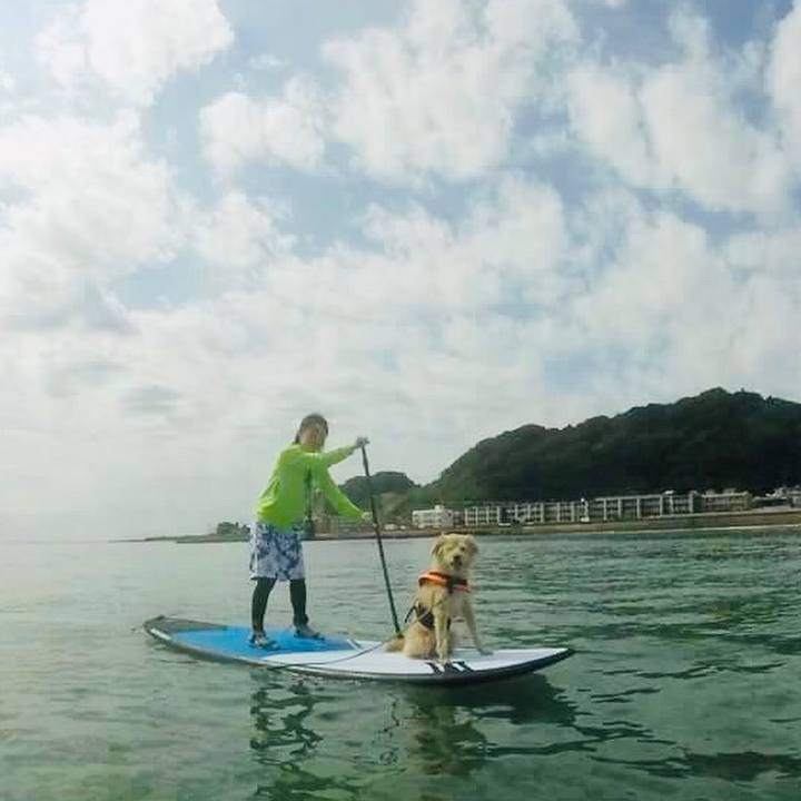 8310b064 26ed 45dc a567 d21d69f0e047 1565162273224