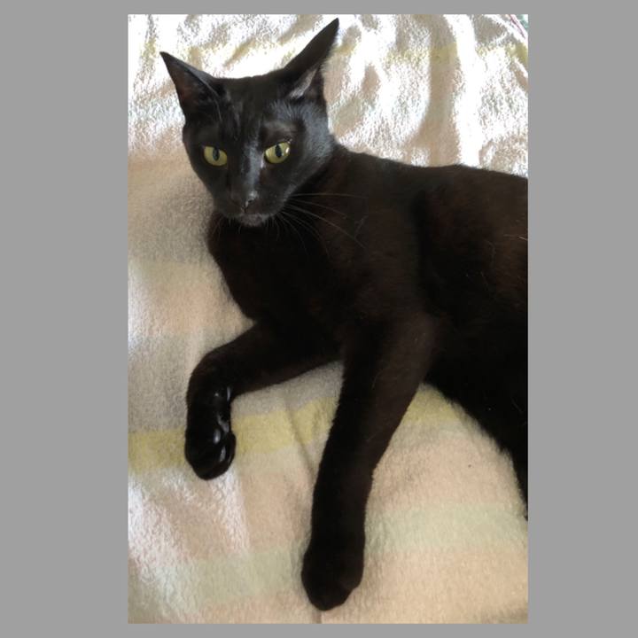 8310b459 df10 488c 9719 ea6a8a92c4ec 1690406621249